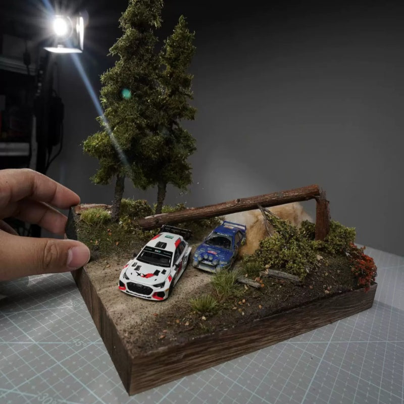 1:64 Scale WRCCar Model Diorama, Finished Scene, Car Model Not Included