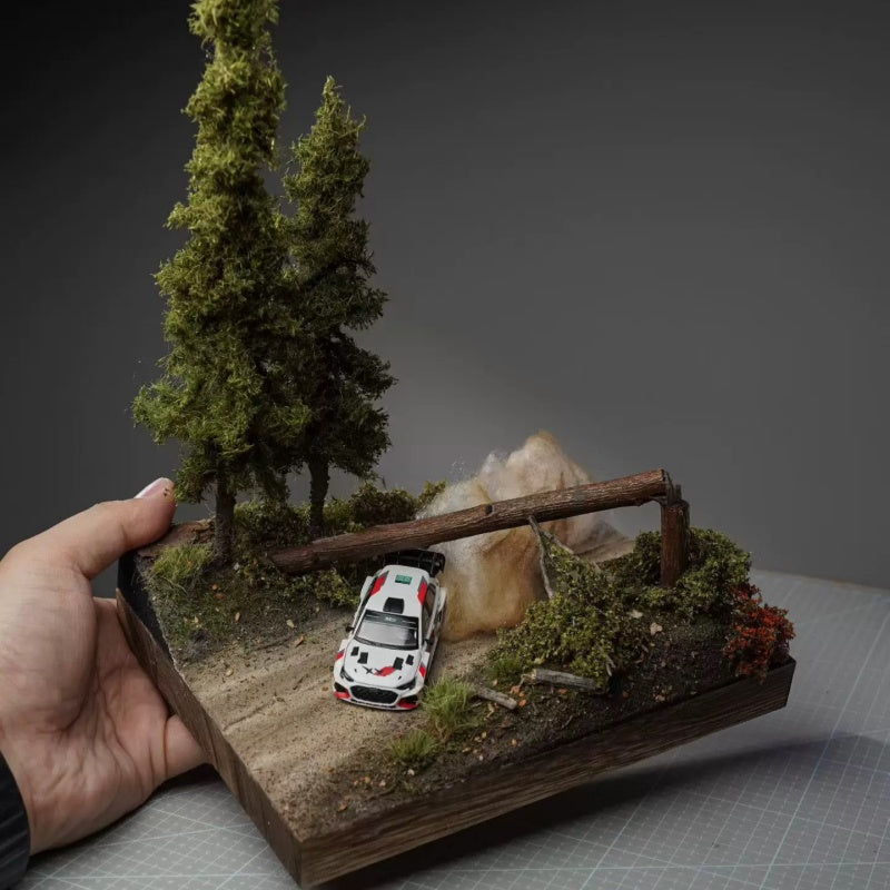 1:64 Scale WRCCar Model Diorama, Finished Scene, Car Model Not Included